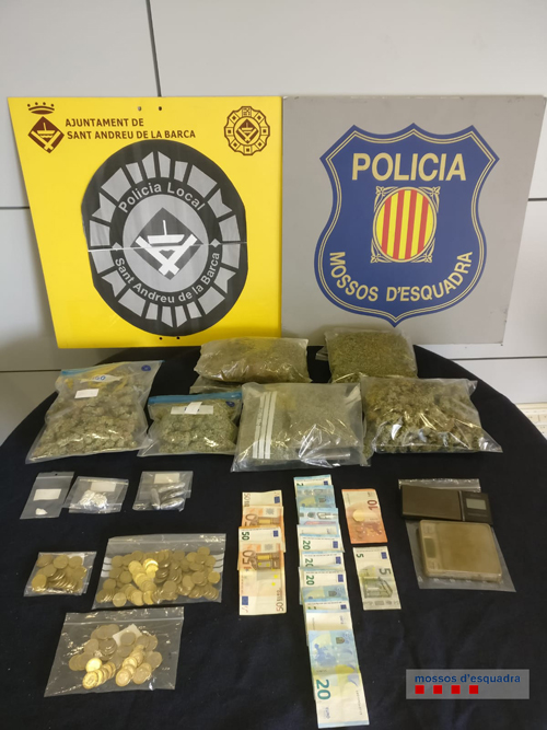 mososs cannabis ssab