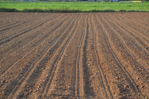 2 sistema alimentari global