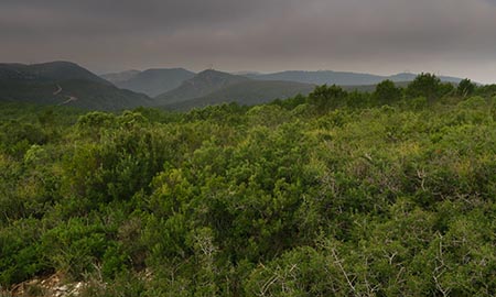 Parc Natural del Garraf