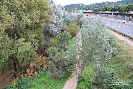 Visita OMS projecte riu Llobregat 02