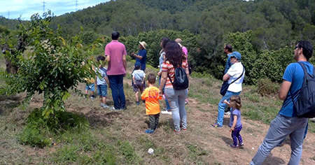 Cireres Bernabé 3