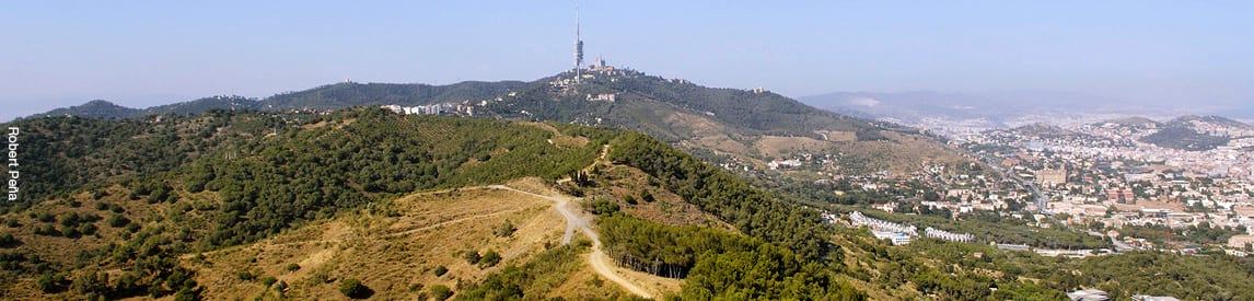 CollserolaCapçalera1150