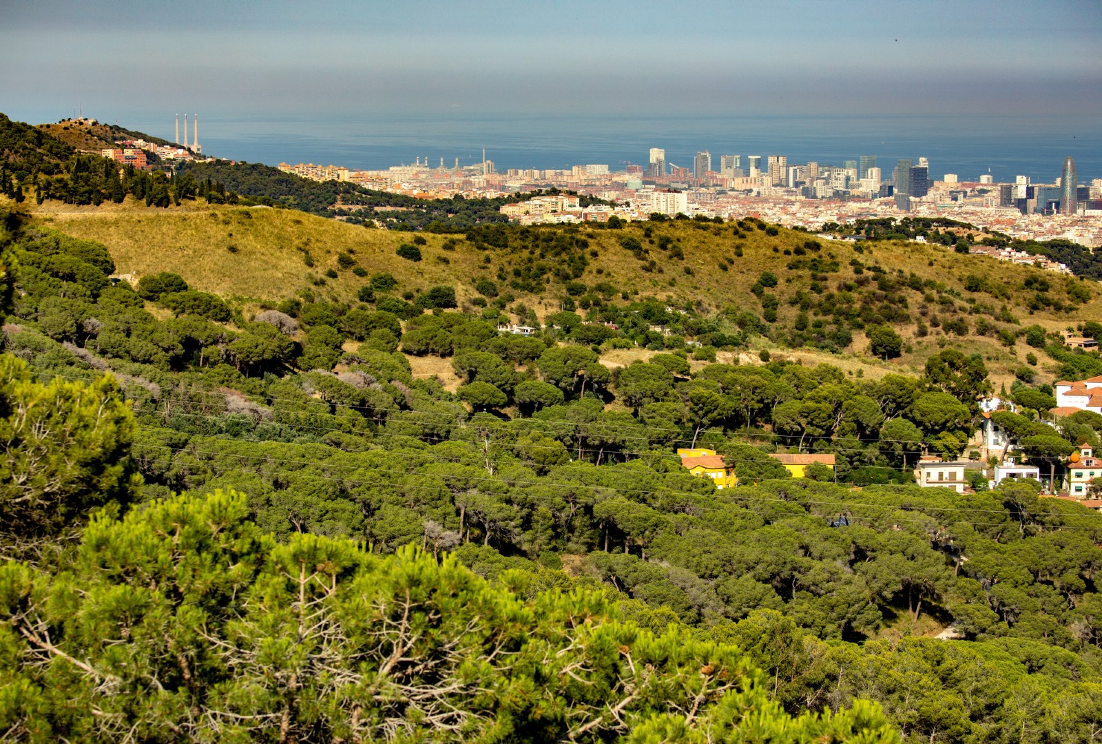 collserola amb 2