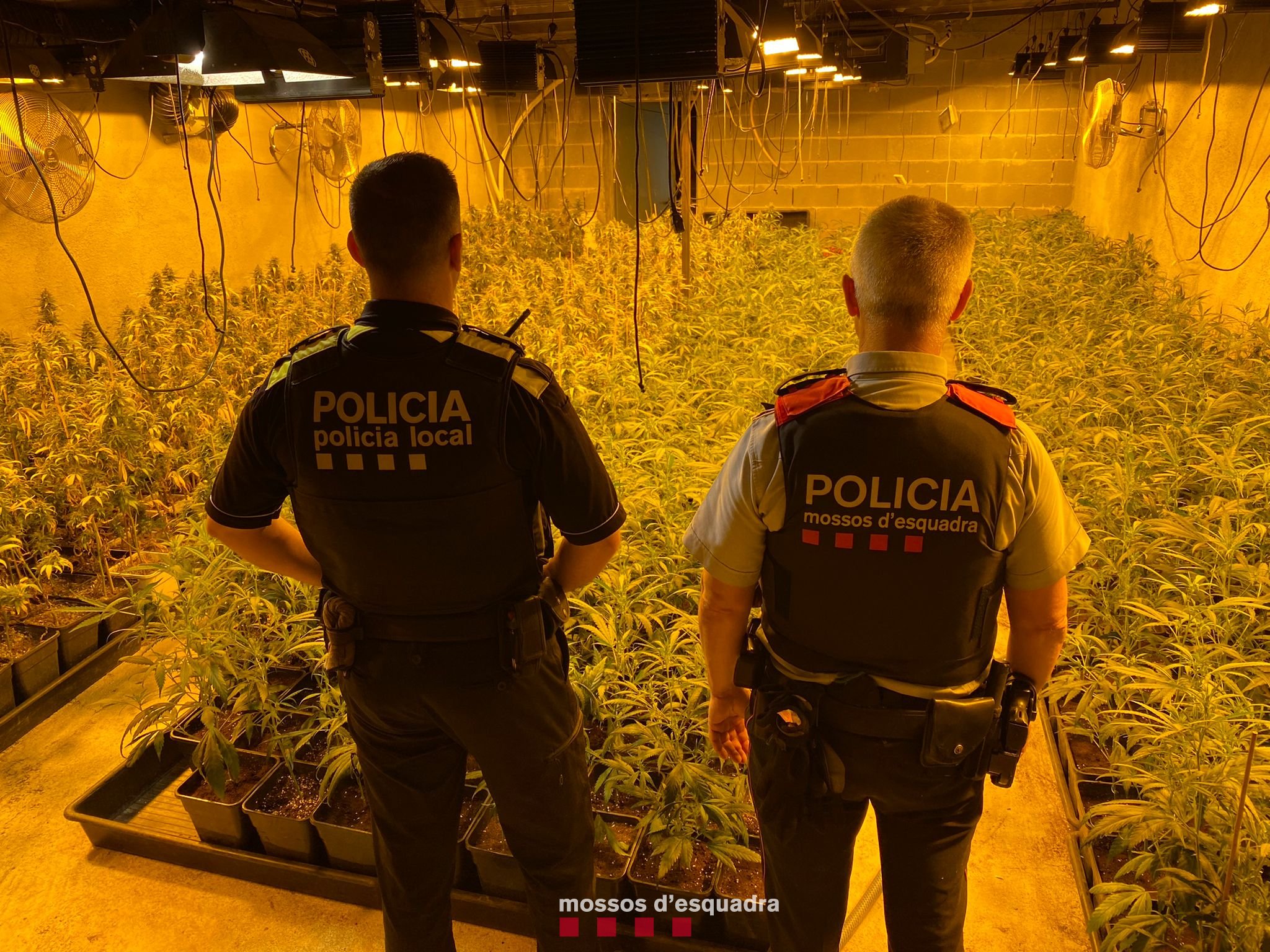 220531 NdP 071 RPMS F1 Mossos dEsquadra