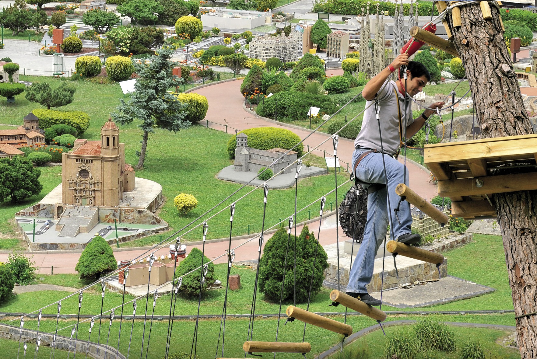 bosc vertical catalunya en miniatura
