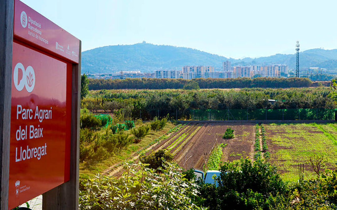 INSTITUT AGRICOLA ZEPA del Baix Llobregat 1080x675