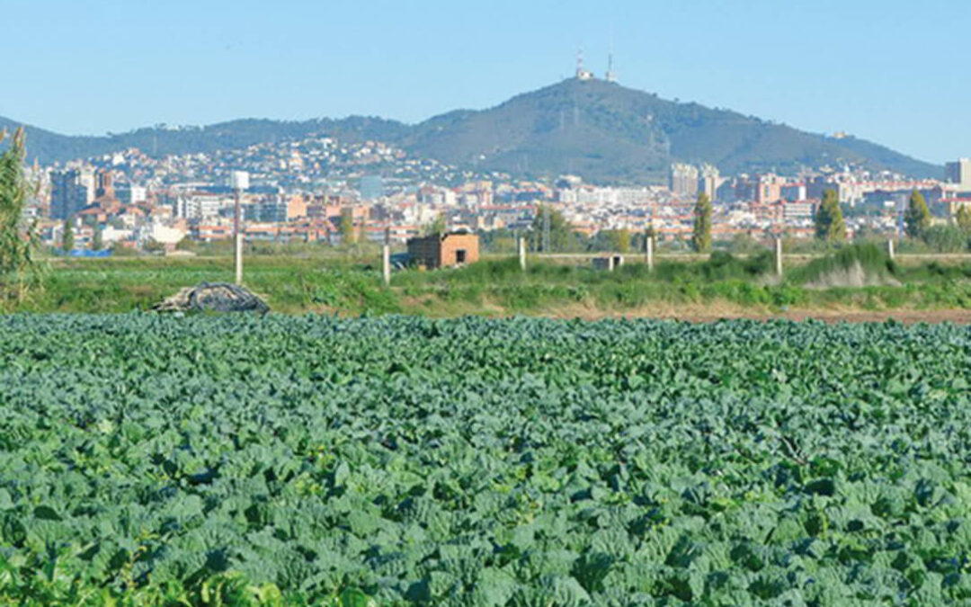 ZONA ZEPA LLOBREGAT INSTITUT AGRICOLA 1080x675