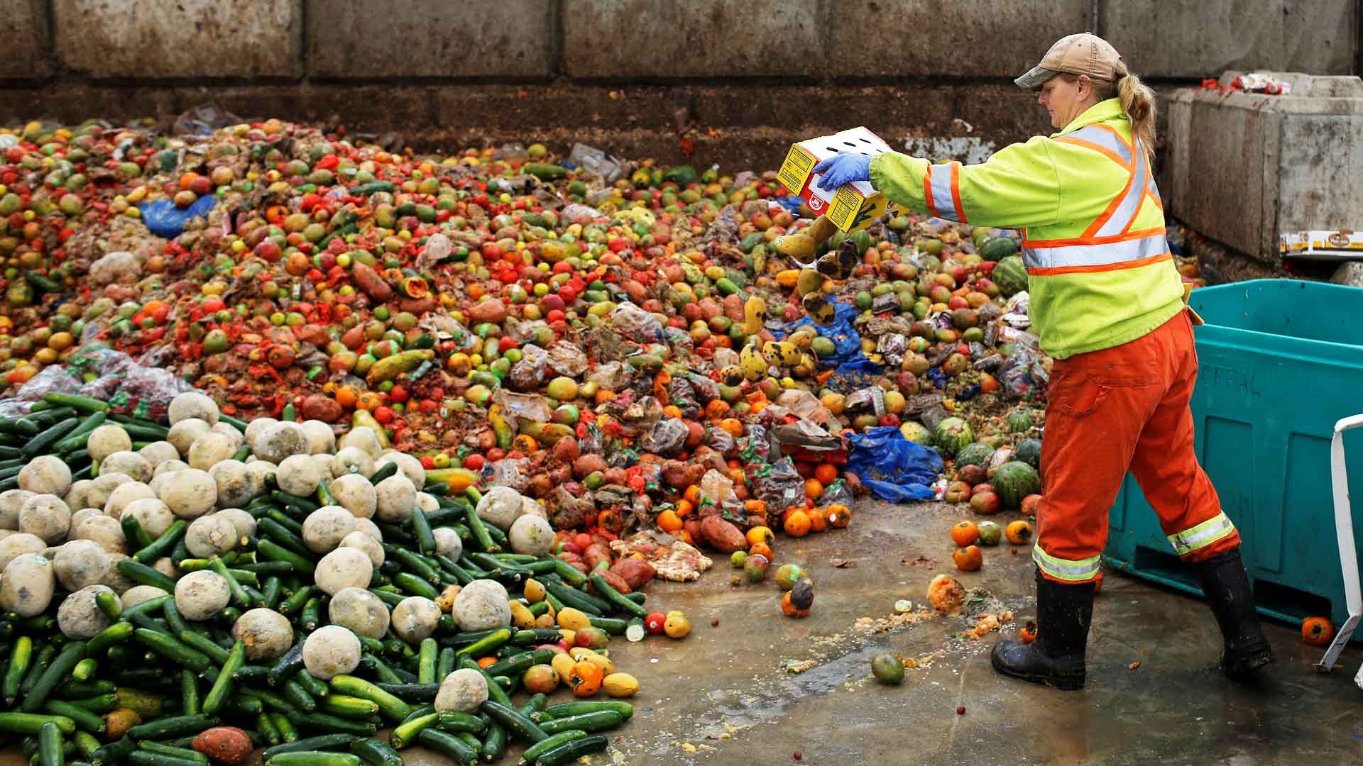 food waste problem buckner 290818