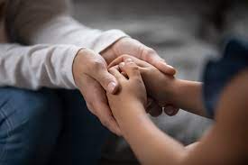 investi sjd