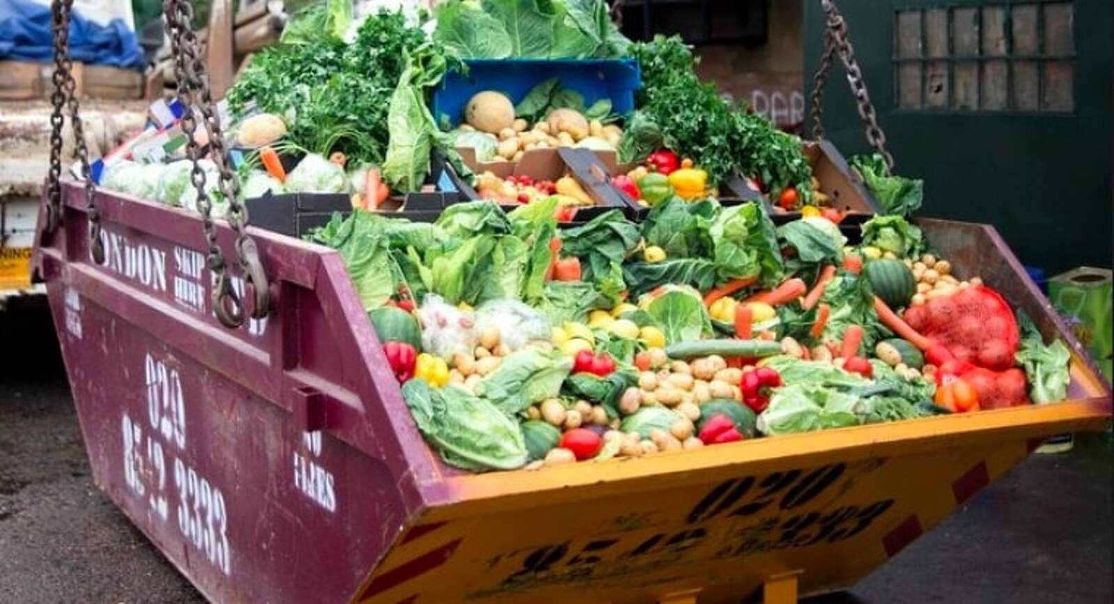 malbaratament alimentari 5ed8ffa07e764