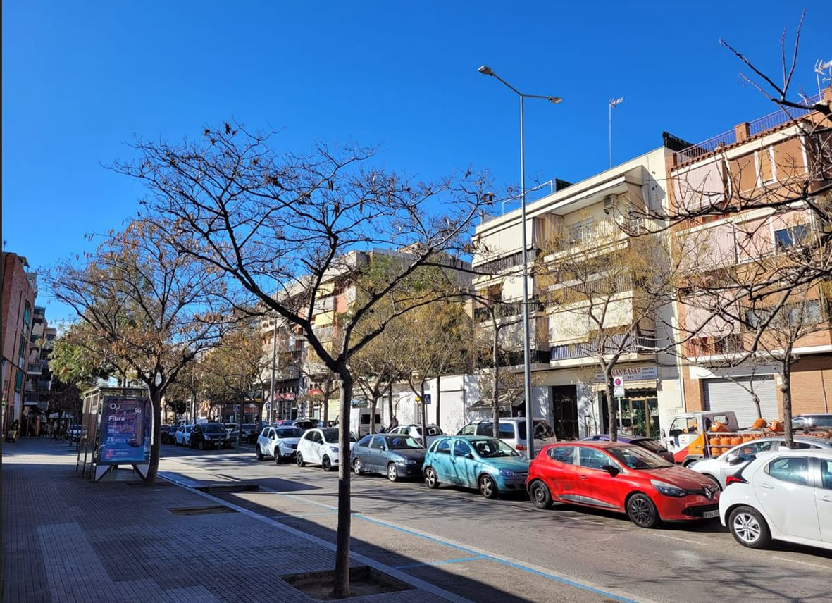 Enllumenat avinguda Rouredaok