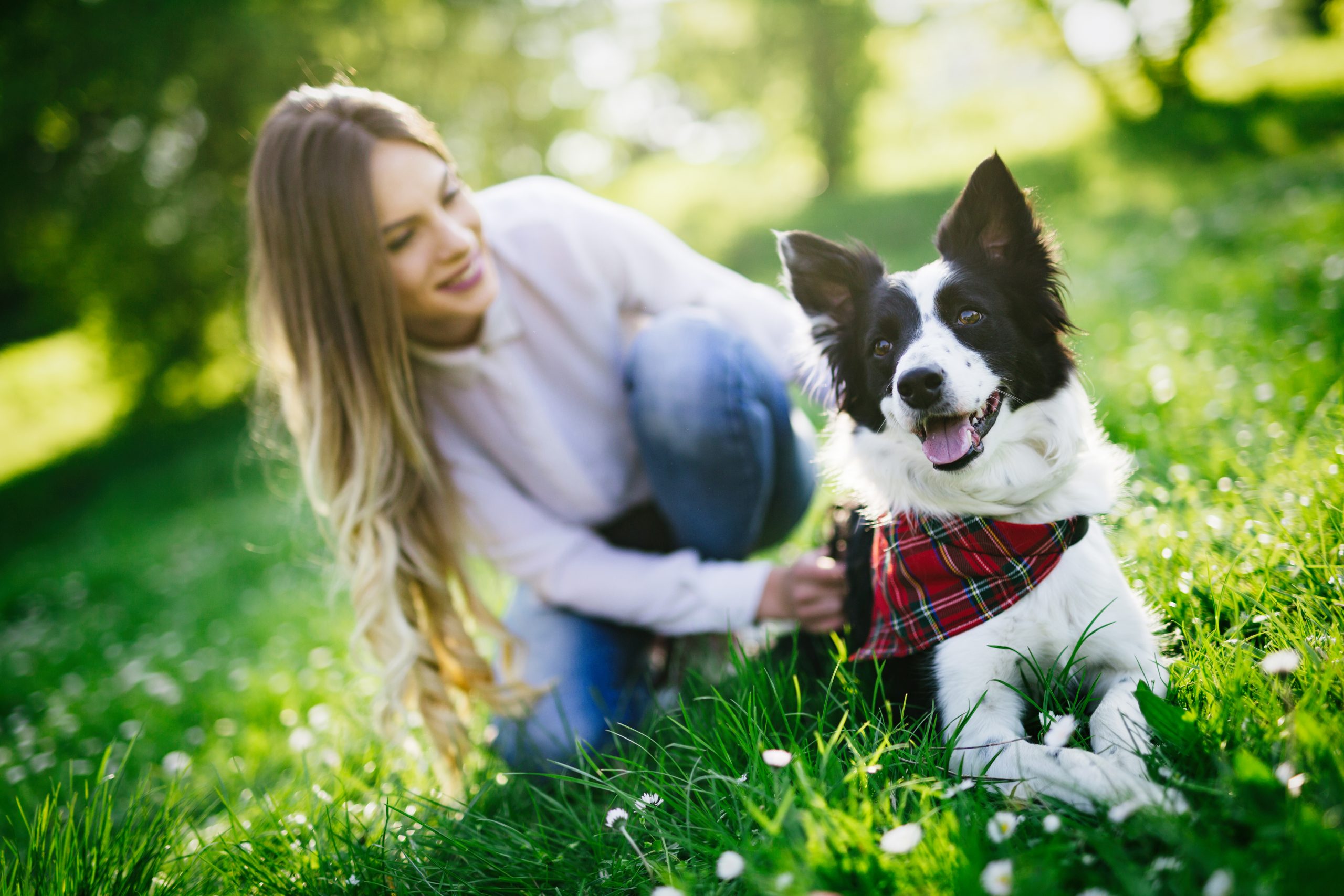 beautiful woman walking cute dog in nature VRPNG7W scaled