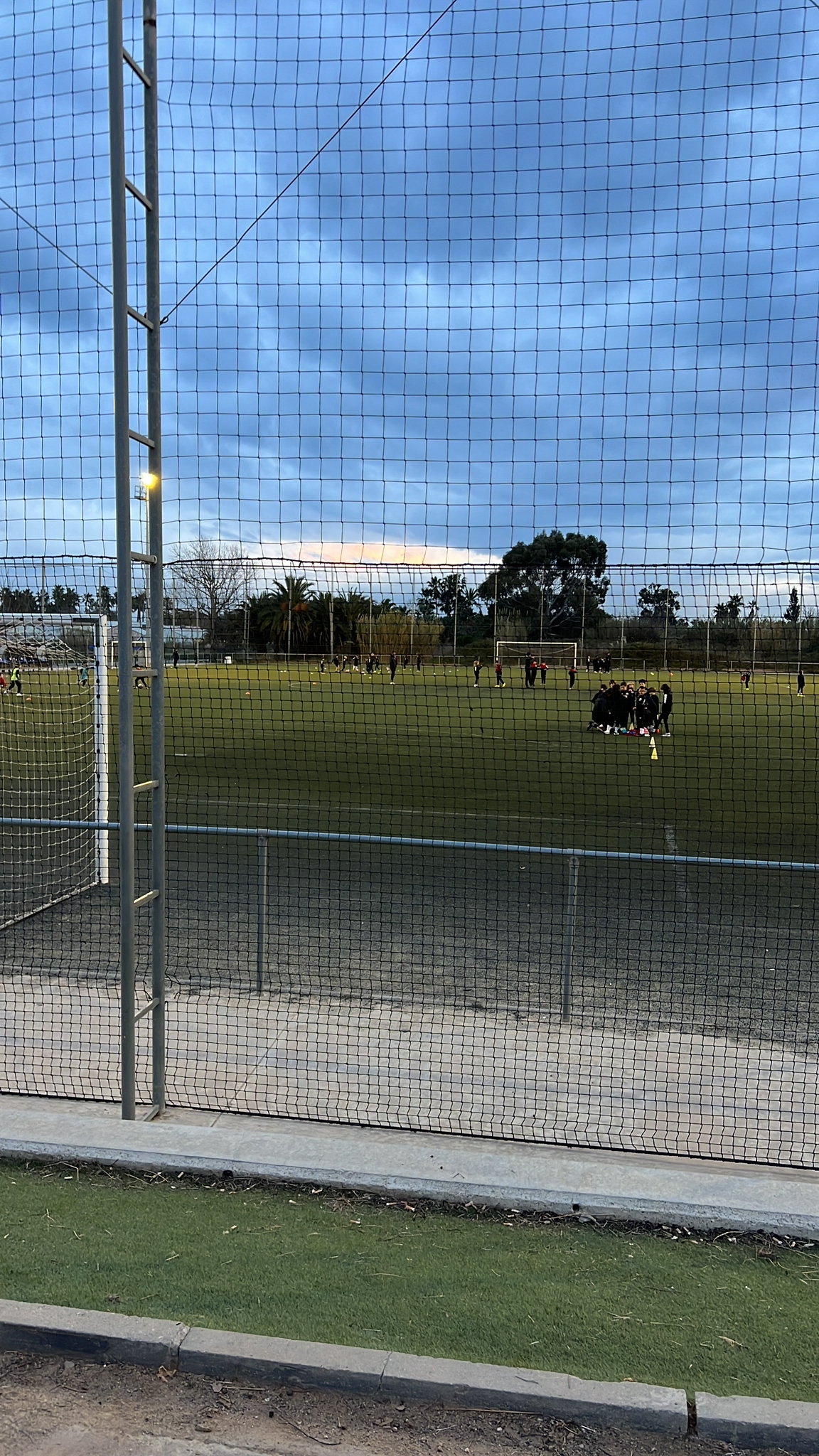 torello 3