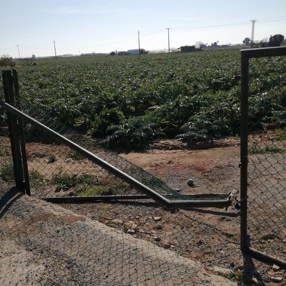 FoCx3nfXwAIGoDi