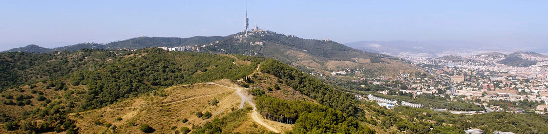 Collserola robertpeña