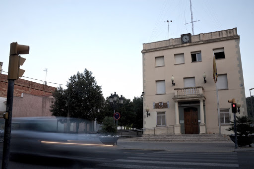 ajuntament cervello okupacio