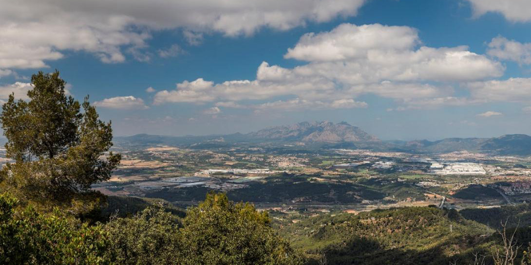 corbera