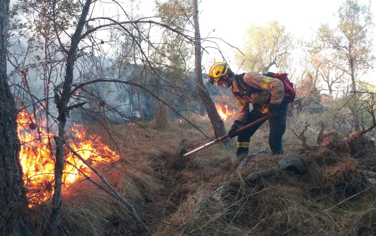 incendi bosc