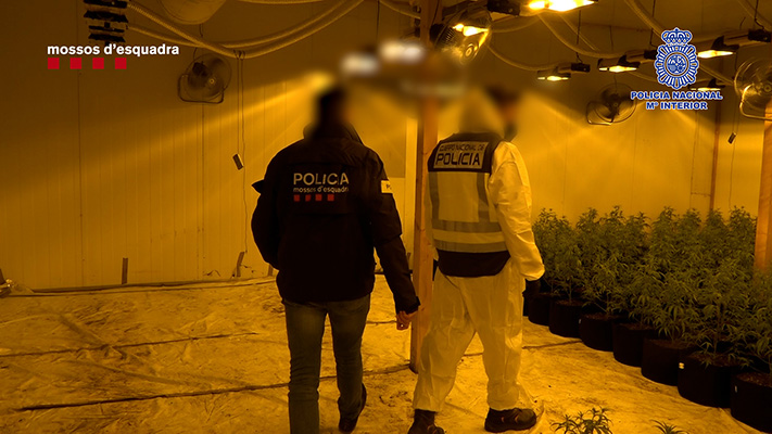 mossos d esquadra policia nacional 26 11 21