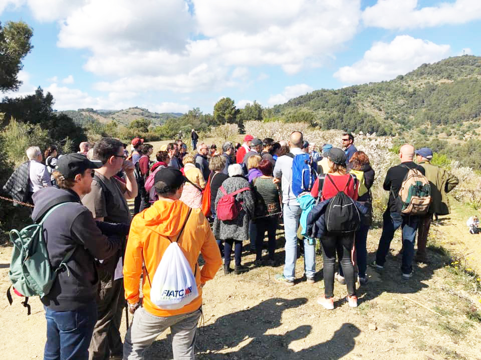 sant climent recupera les passejades entre els cirerers en flor baix llobregat llobregatdi