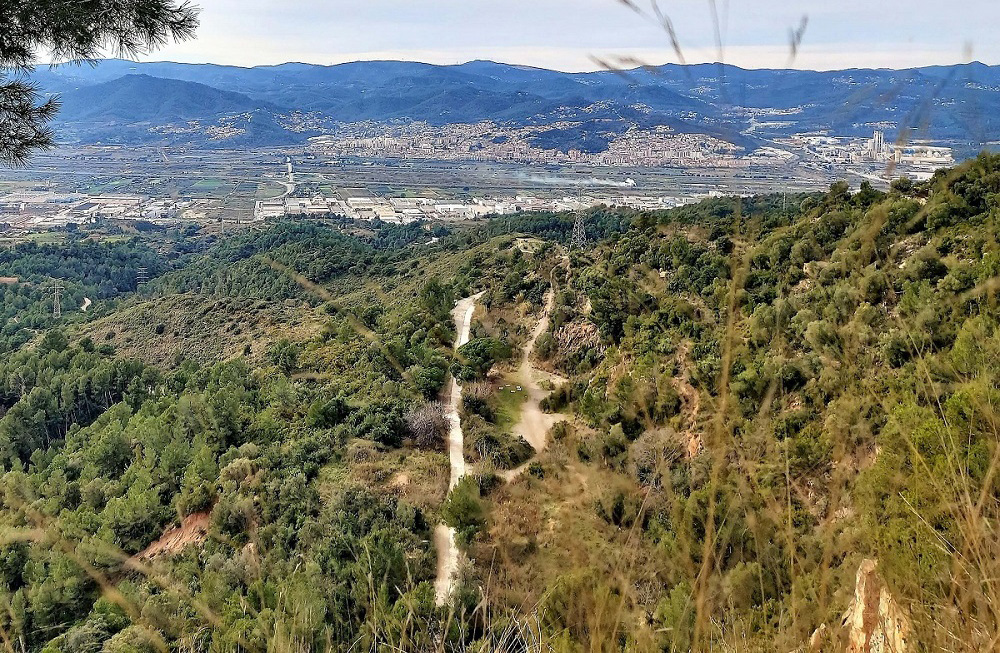 1000 4 3 olorda collserola parnoamica llobregat 1