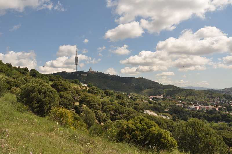 Parc Natural Collserola. Foto Parc Collserola