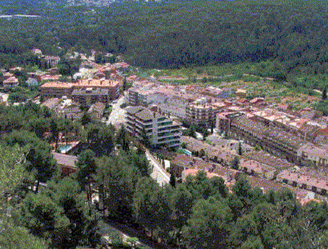 vista poble la palma de cervello
