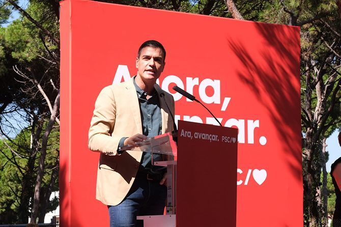 5394 08 pedro sanchez copia