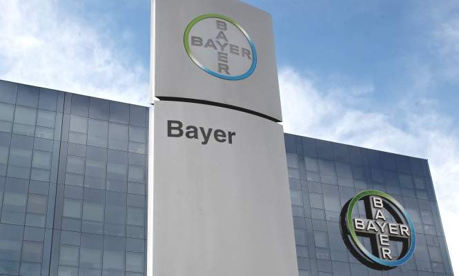 bayer edificio