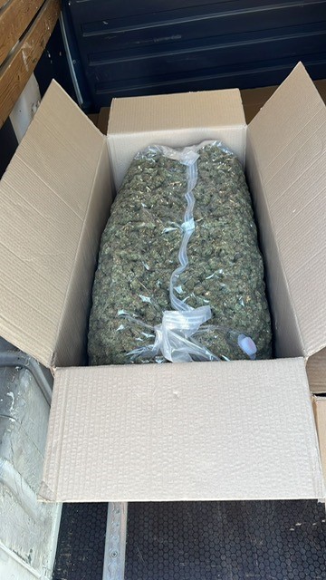 droga marto