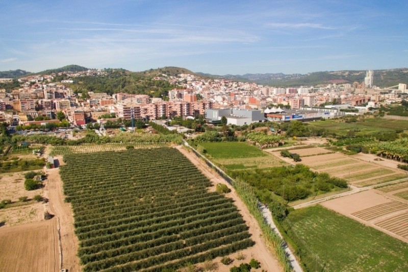 sant vicenc dels horts