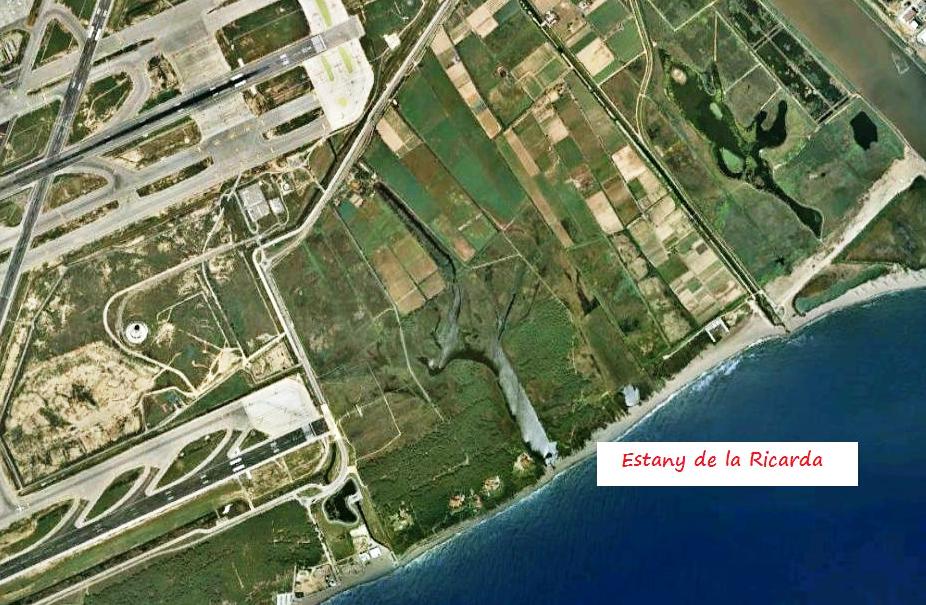 Estany de la Ricarda map