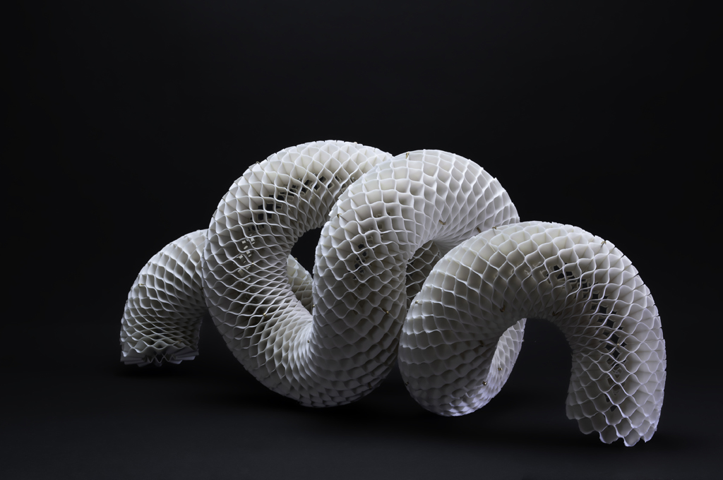 Surface Morphed 3 web