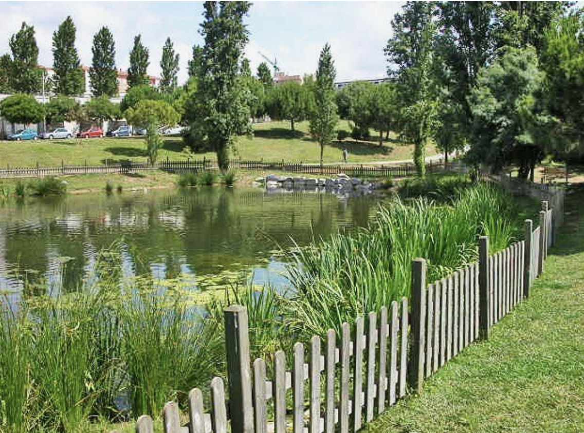 santfeliu