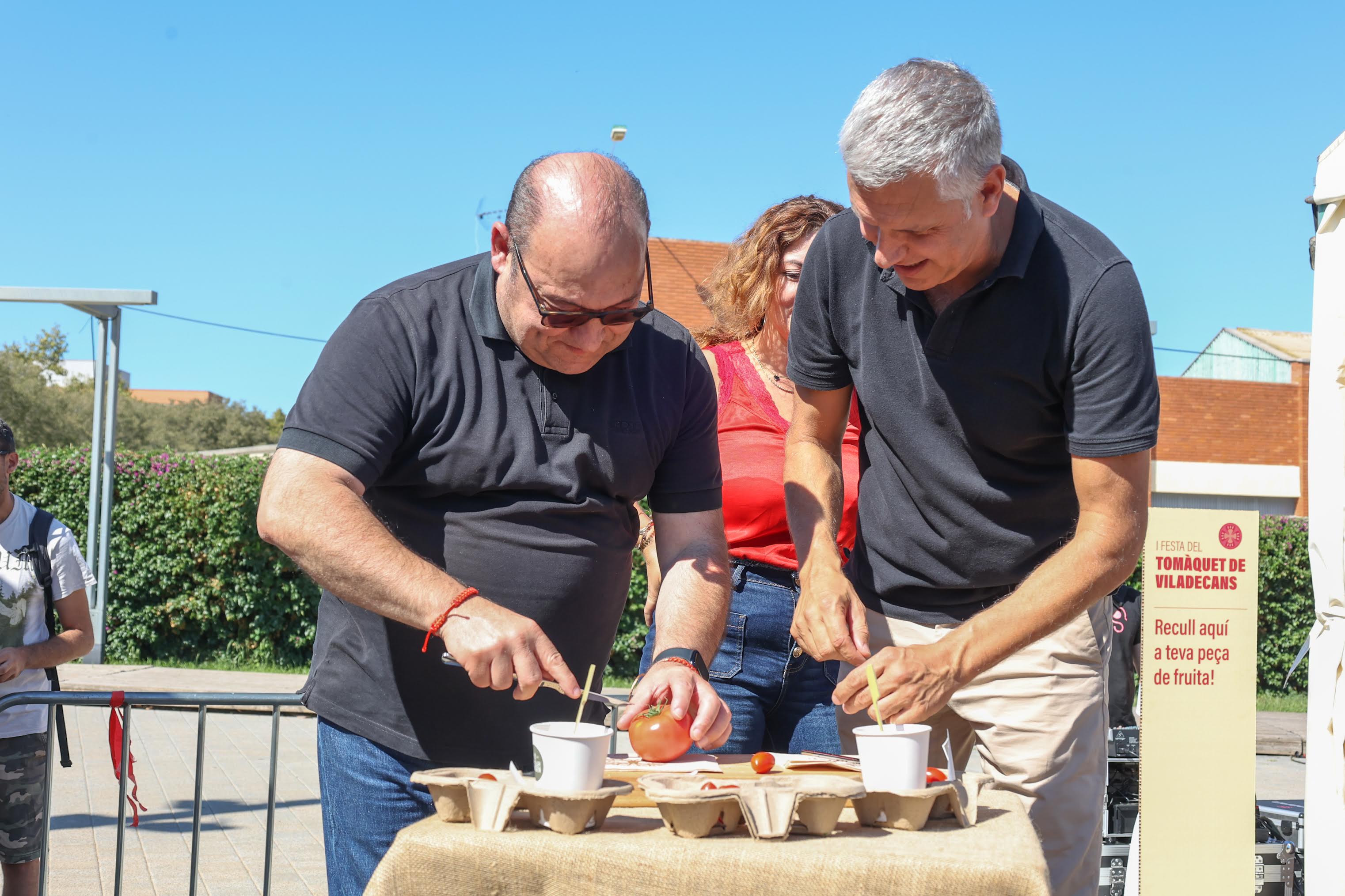 tomaquet vila 1