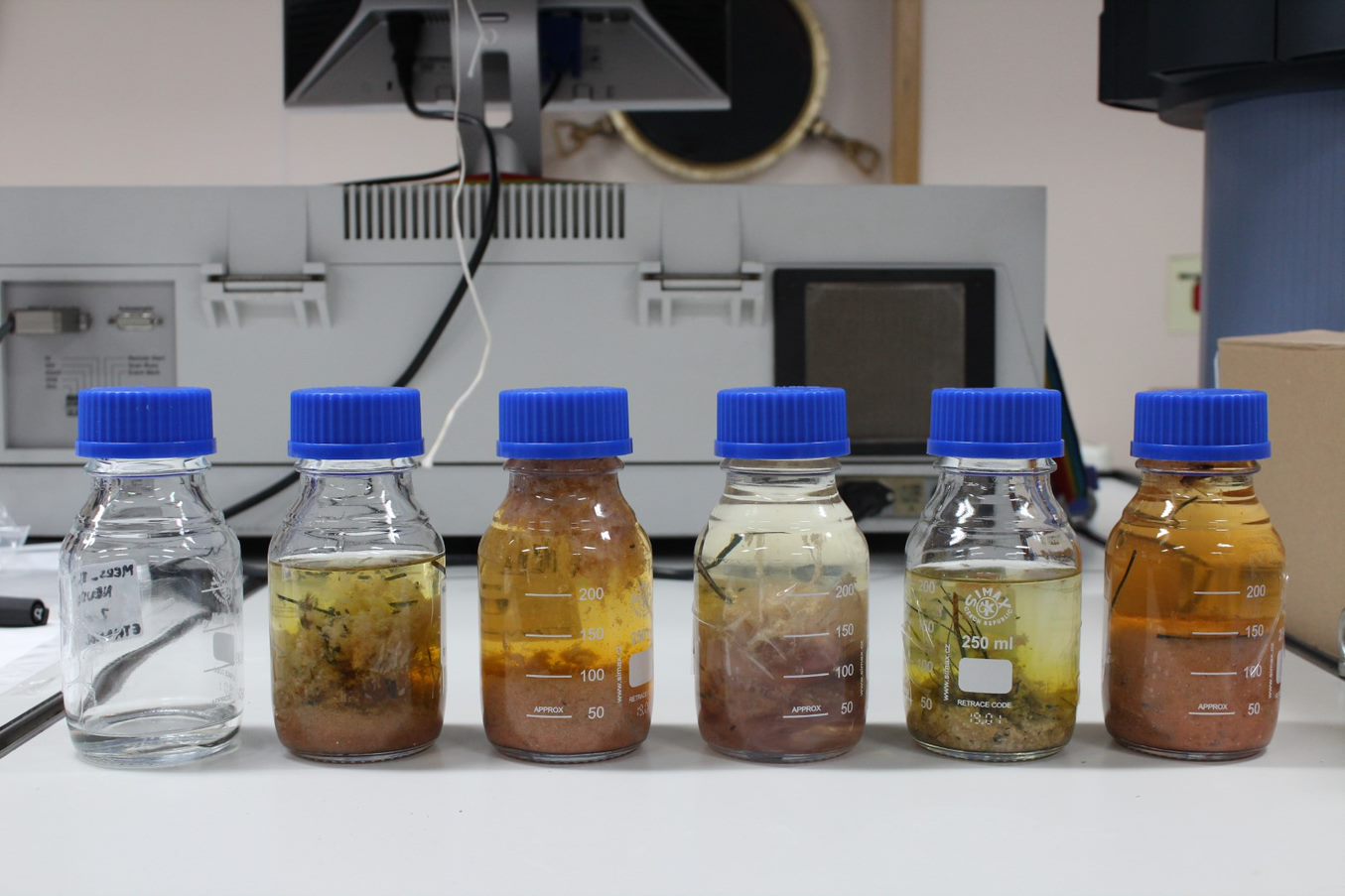 MERS BI LenaHeinz Microplastics 1