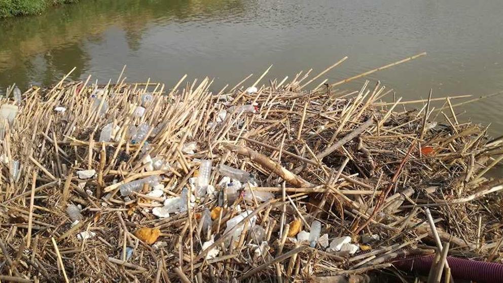 img tayala 20190814 170904 imagenes lv terceros plasticos kr3H U464077423659JID 992x558LaVanguardia Web
