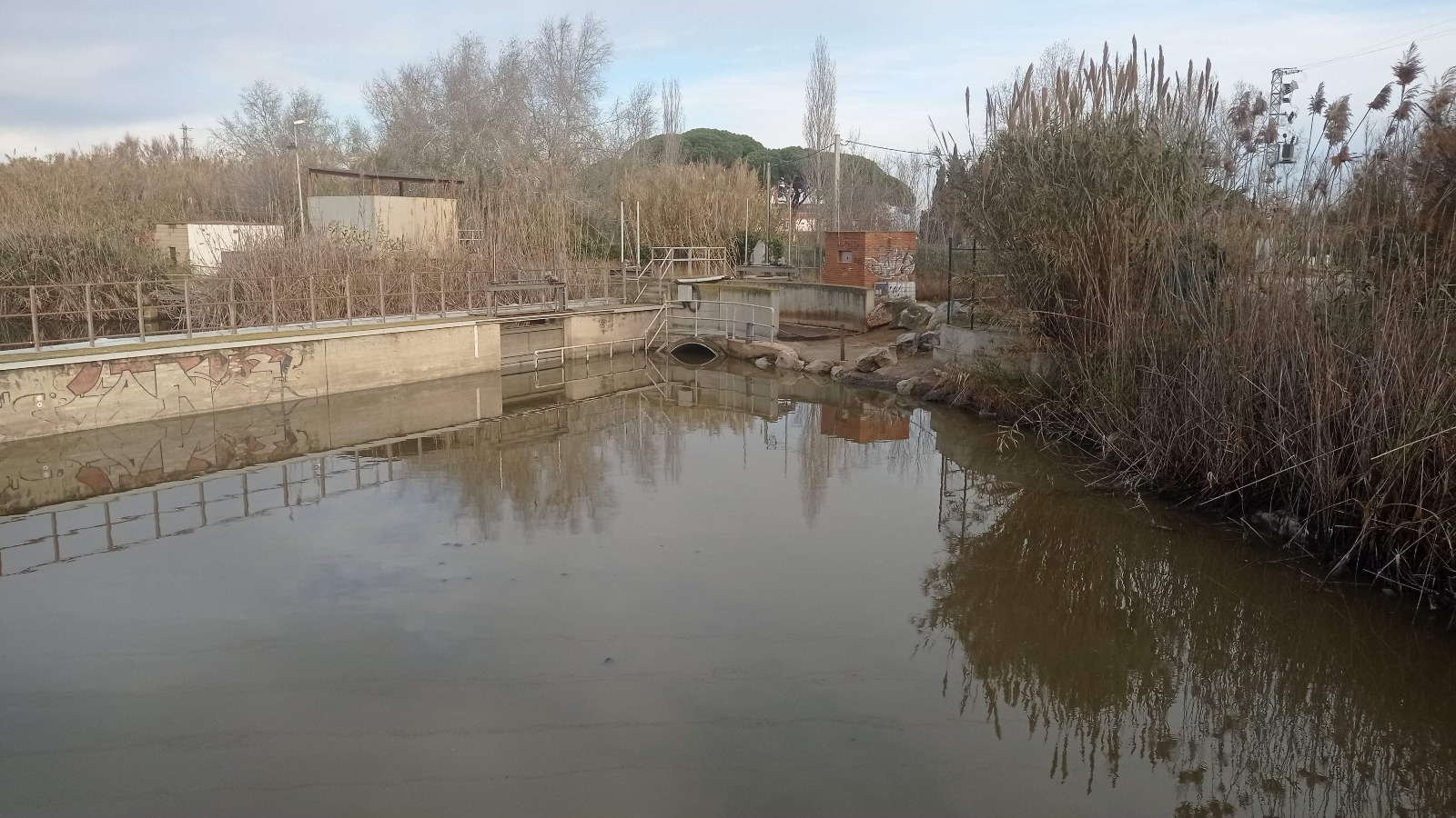 PHOTO 2024 01 11 16 32 23