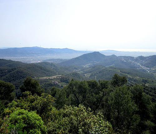 puig vicens