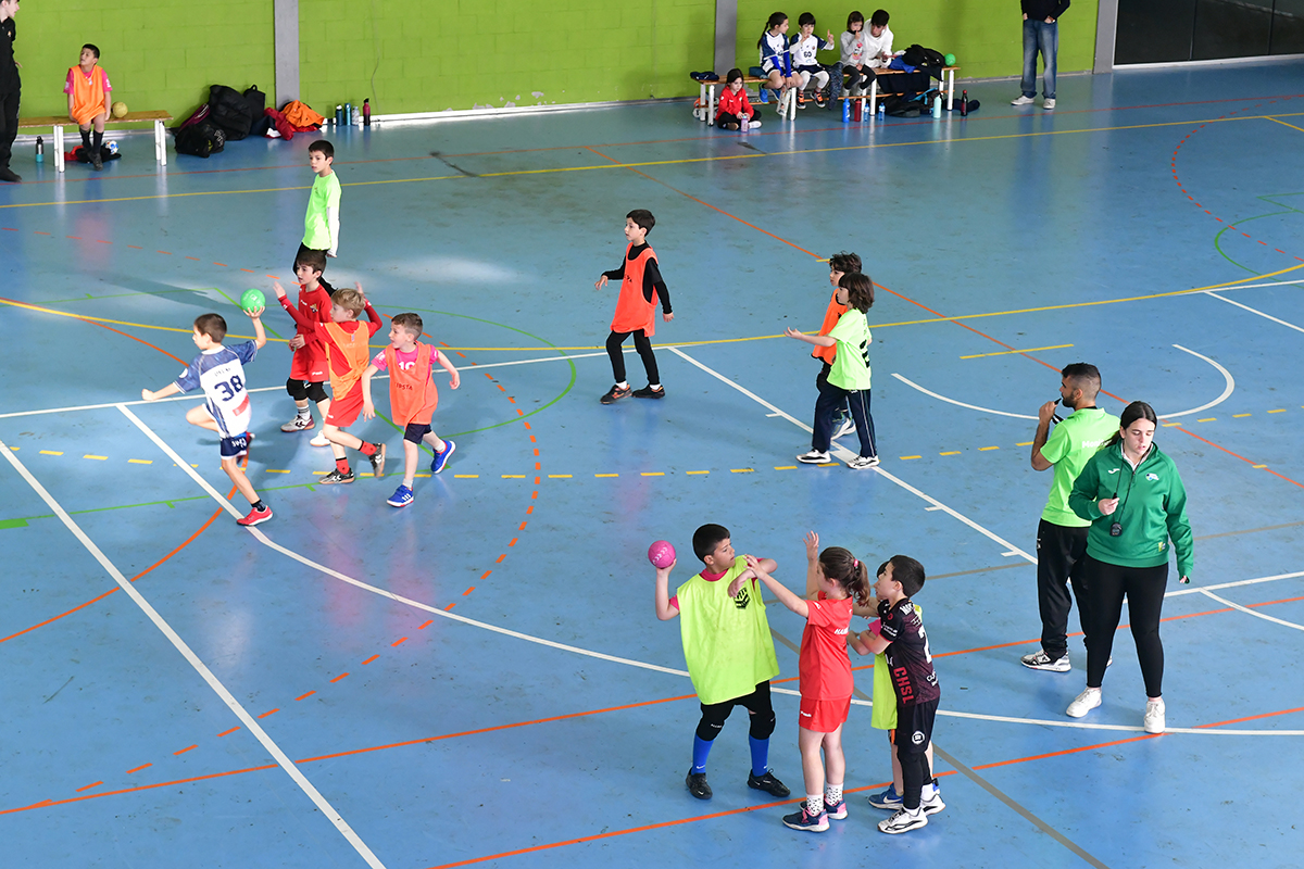 Consell Esportiu 511