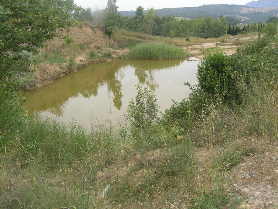 48370 foto 08076 18 1