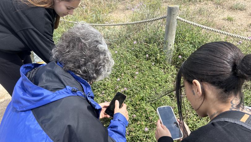 Voluntaris a les dunes fotografiant plantes 1