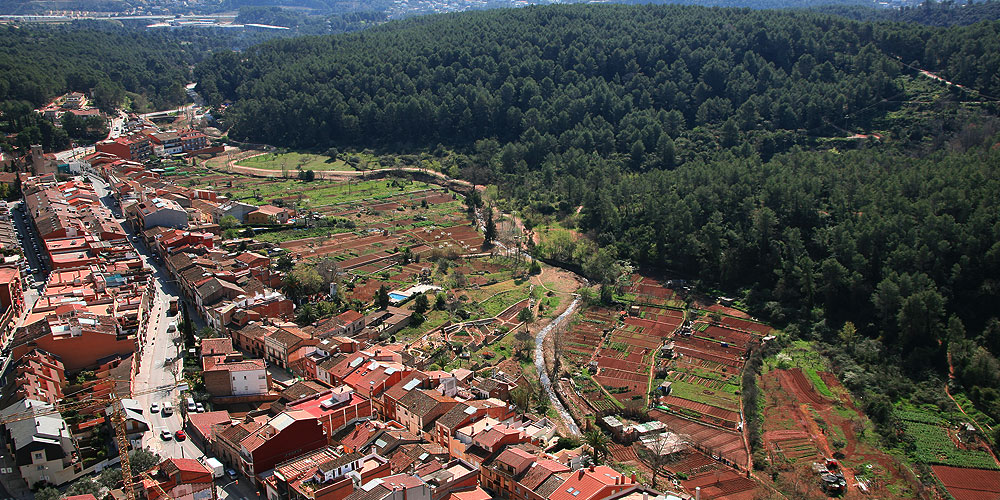 inici poblacions la palma de cervello