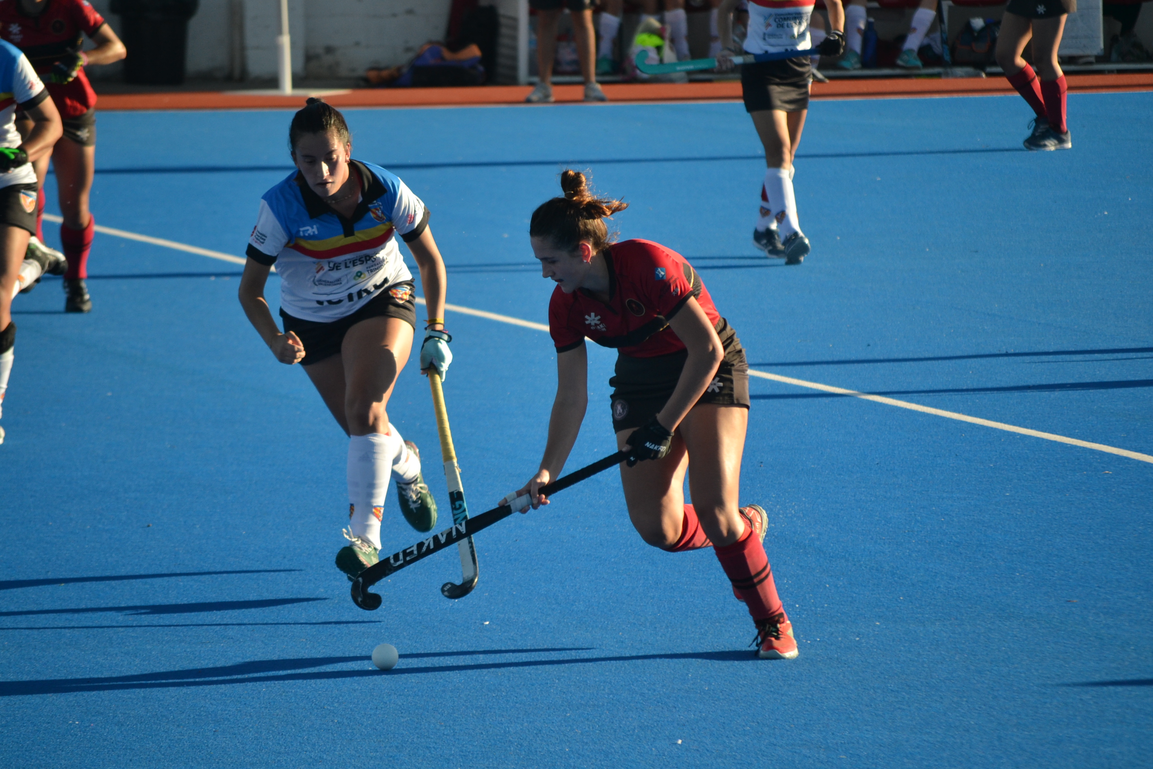 DSC 0728 copia